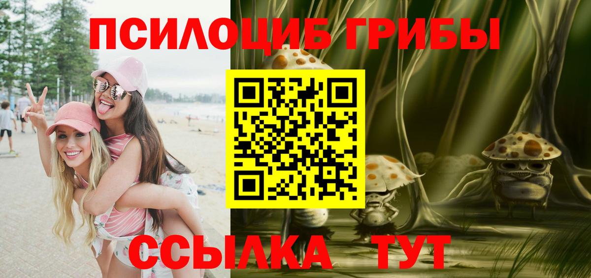 Галлюциногенные грибы ЛСД  Вход с VPN  купить наркотик  Тула 