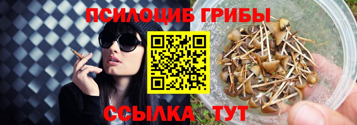 Галлюциногенные грибы MAGIC MUSHROOMS Тула